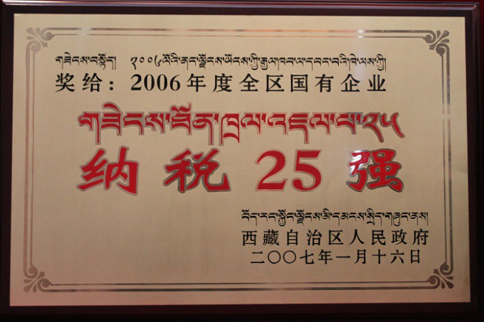 2006纳税25强